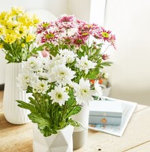 Schnittblumen, langstielig bei ALDI SÜD in Nürnberg Schnittblumen, langstielig im Angebot bei ALDI SÜD Nürnberg für 3,29 €