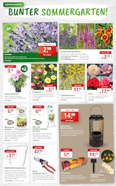 Aktueller ZG Raiffeisen Prospekt mit Deko, "ALLES FÜR DEN PERFEKTEN SOMMERGARTEN!", Seite 2