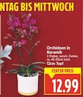 Orchideen in Keramik von  im aktuellen E center Prospekt für 12,99 €