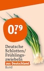 Deutsche Schlotten/Frühlingszwiebeln bei tegut im Coburg Prospekt für 0,79 €