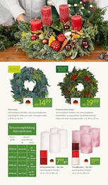 Pflanzen Kölle Stumpenkerzen im Prospekt Pflanzen Kölle Stumpenkerzen im Prospekt