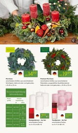 Mixer im Pflanzen Kölle Prospekt in Leonberg Aktueller Pflanzen Kölle Prospekt mit Mixer, "ADVENTS GLANZ", Seite 6