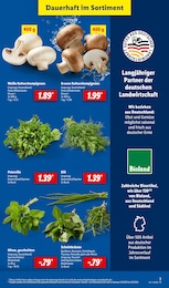 Pflanzen Angebot im aktuellen Lidl Prospekt auf Seite 3