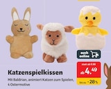 Katzenspielkissen im DAS FUTTERHAUS Prospekt Katzenspielkissen von im aktuellen DAS FUTTERHAUS Prospekt für 4,49 €