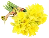 Aktuelle Blumen Angebote bei REWE in Kassel Aktuelles Feld-Narzissen Angebot bei REWE in Kassel ab 0,99 €