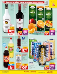 Äpfel im Netto Marken-Discount Prospekt "Aktuelle Angebote" auf Seite 37