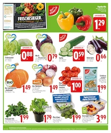 EDEKA Eisbergsalat im Prospekt 