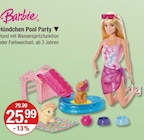 Hündchen Pool Party im Angebot bei V-Markt in Kempten Hündchen Pool Party Angebote von Barbie bei V-Markt Kempten für 25,99 €