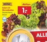 Aktuelles Salat mit Wurzelballen Angebot bei Netto Marken-Discount in Nürnberg ab 1,00 €