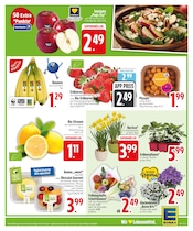 Ähnliche Briefkasten Angebote im Prospekt "Wir lieben Lebensmittel." von EDEKA in Dachau Ähnliche Angebote wie Briefkasten im Prospekt "Wir lieben Lebensmittel." auf Seite 5 von EDEKA in Dachau