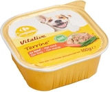 Pâtée pour chien - CARREFOUR COMPANINO VITALIVE à 1,29 € dans le catalogue Carrefour