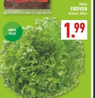 Aktuelles Endivien Angebot bei Marktkauf in Bochum ab 1,99 €