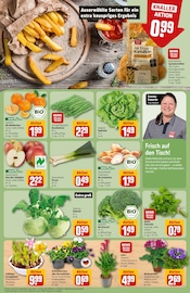 Stiefmütterchen im REWE Prospekt in Neuss Aktueller REWE Prospekt mit Stiefmütterchen, "Dein Markt", Seite 7