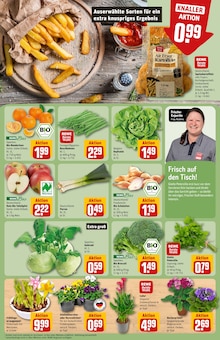 Bohnen im REWE Prospekt "Dein Markt" mit 30 Seiten (Düsseldorf)