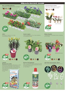 Blumenerde im V-Markt Prospekt "V-Markt einfach besser einkaufen" mit 26 Seiten (Regensburg)