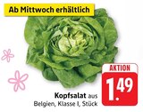 E center Nürtingen Prospekt mit  im Angebot für 1,49 €
