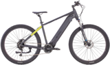 Mountain-E-Bike Pro1, 29" von BE COOL im aktuellen Netto Marken-Discount Prospekt