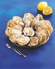 Huitres speciales de normandie IGP - U SAVEURS - Super U à Saint-Priest Huitres speciales de normandie IGP - U SAVEURS en promo chez Super U Saint-Priest à 11,50 €
