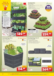 Gartenpflanzen im Netto Marken-Discount Prospekt "netto-online.de - Exklusive Angebote" mit 36 Seiten (Lübeck)