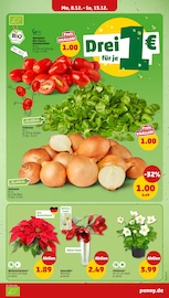 Pflanzen im Penny Prospekt in St. Ingbert Aktueller Penny Prospekt mit Pflanzen, "Wer günstig will, muss Penny.", Seite 6