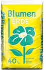 Blumenerde im Angebot bei Thomas Philipps in Hildesheim Blumenerde Angebote bei Thomas Philipps Hildesheim für 2,39 €
