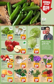 Pilze im REWE Prospekt in Neuss Aktueller REWE Prospekt mit Pilze, "Dein Markt", Seite 9