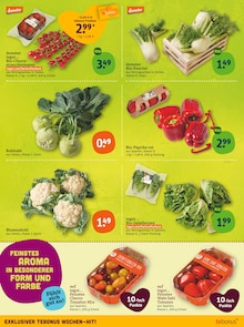 Tomaten im tegut Prospekt "tegut… gute Lebensmittel" mit 23 Seiten (Nürnberg)