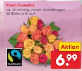 Rosen Ensemble bei Netto Marken-Discount im Prospekt "" für 6,99 €