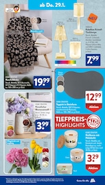 Kuscheldecke im ALDI SÜD Prospekt in Weiden Aktueller ALDI SÜD Prospekt mit Kuscheldecke, "Gutes für Alle.", Seite 17