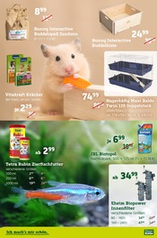 Ähnliche Aquarium Unterschrank Angebote im Prospekt "Alles für Ihren Liebling!" von Pflanzen Kölle Ähnliches Angebot bei Pflanzen Kölle in Prospekt "Alles für Ihren Liebling!" gefunden auf Seite 4