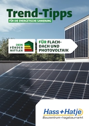 Aktueller Hass + Hatje GmbH Baumärkte Prospekt für Bargteheide: Trend-Tipps FÜR DIE ENERGETISCHE SANIERUNG mit 5} Seiten, 04.10.2024 - 13.10.2024