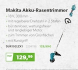 Raiffeisen Waren GmbH Gießen - Akku-Rasentrimmer Angebot im Prospekt Akku-Rasentrimmer bei Raiffeisen Waren GmbH im Gießen Prospekt für 129,99 €