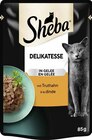 Delikatesse im Angebot bei E center in Waiblingen Delikatesse Angebote von Sheba bei E center Waiblingen