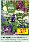 Aktuelles Nützlingsfreundliche Pflanzen Angebot bei toom Baumarkt in Bochum ab 3,99 €
