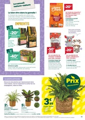 Plantes Angebote im Prospekt "Hiver cosy cosy" von Truffaut Plantes Angebote im Prospekt "Hiver cosy cosy" von Truffaut auf Seite 3