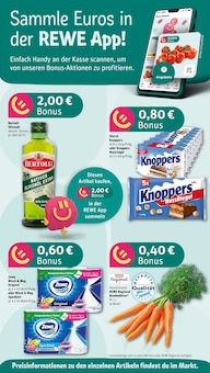 Aktueller REWE Prospekt "Dein Markt" Aktueller REWE Prospekt