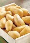 Promo Pomme de terre de consommation à 1,49 € dans le catalogue Intermarché à Malakoff