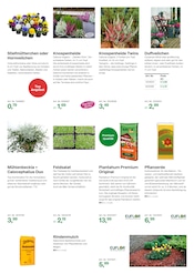 Salat im BayWa AG Prospekt in Heilbronn Aktueller BayWa AG Prospekt mit Salat, "Top Angebote für die herbstliche Gartenpflege!", Seite 3