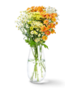 Chrysanthemen-Santini-Mix bei Kaufland im Kammerstein Prospekt für 3,99 €