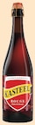 Bière - KASTEEL - Super U à Vaulx-en-Velin Bière - KASTEEL en promo chez Super U Vaulx-en-Velin à 3,84 €