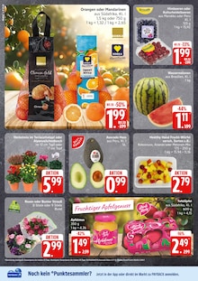 EDEKA Prospekt der Woche "Top Angebote" Seite 2, 13.10.2025 bis 18.10.2025 für Fehmarn Aktueller EDEKA Prospekt "Top Angebote" Seite 2 von 19 Seiten für Fehmarn