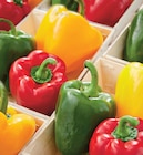 Poivron rouge et/ou vert dans le catalogue Netto