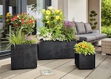Angebot im Hagebaumarkt Barchfeld-Immelborn Prospekt Hagebaumarkt Barchfeld-Immelborn Prospekt mit im Angebot für 19,99 €