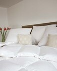 Aktuelles Dauneneinziehdecke leicht Angebot bei Möbel Martin in Trier ab 79,95 €