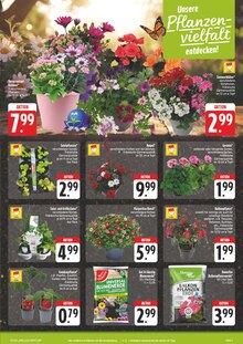 Blumen im E center Prospekt "Wir lieben Lebensmittel!" mit 28 Seiten (Nürnberg)