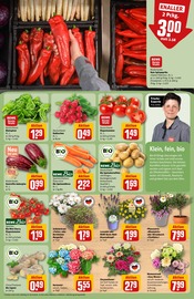 Ähnliche Kürbis Angebote im Prospekt "Dein Markt" von REWE in Gießen Ähnliche Angebote wie Kürbis im Prospekt "Dein Markt" auf Seite 9 von REWE in Gießen