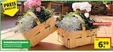 Hagebaumarkt Schwäbisch Hall - Herbstpflanzen im Spankorb Angebot im Prospekt Herbstpflanzen im Spankorb bei Hagebaumarkt im Schwäbisch Hall Prospekt für 6,99 €