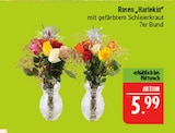 Rosen 'Harlekin' im Angebot bei Marktkauf in Schwabach Rosen 'Harlekin' Angebote bei Marktkauf Schwabach für 5,99 €