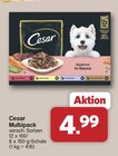 Multipack Angebote von Cesar bei famila Nordwest Lingen für 4,99 €