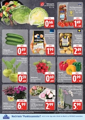 Blumen im EDEKA Prospekt in Cuxhaven Aktueller EDEKA Prospekt mit Blumen, "Top Angebote", Seite 4